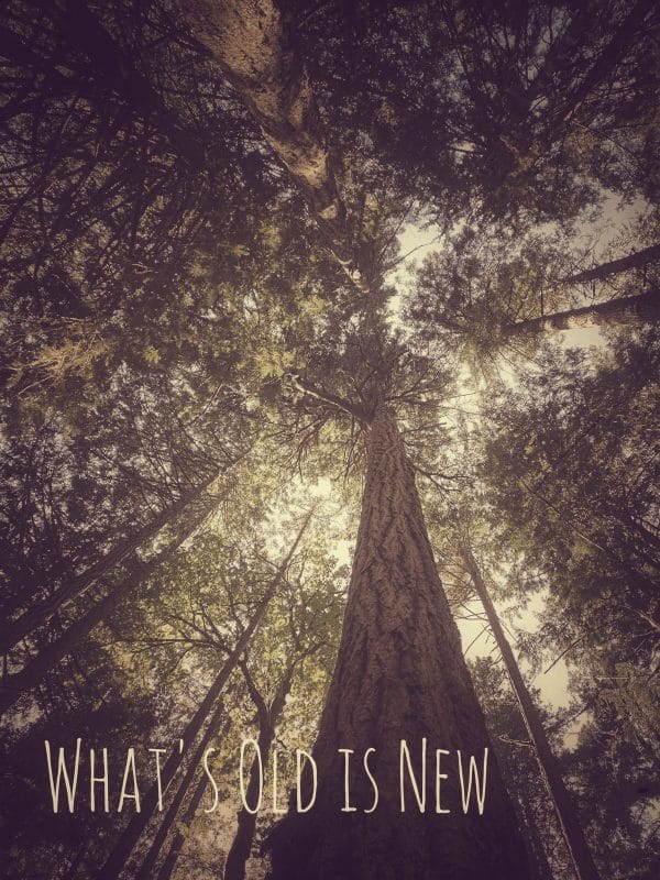 What’s Old is New; Life Adapts