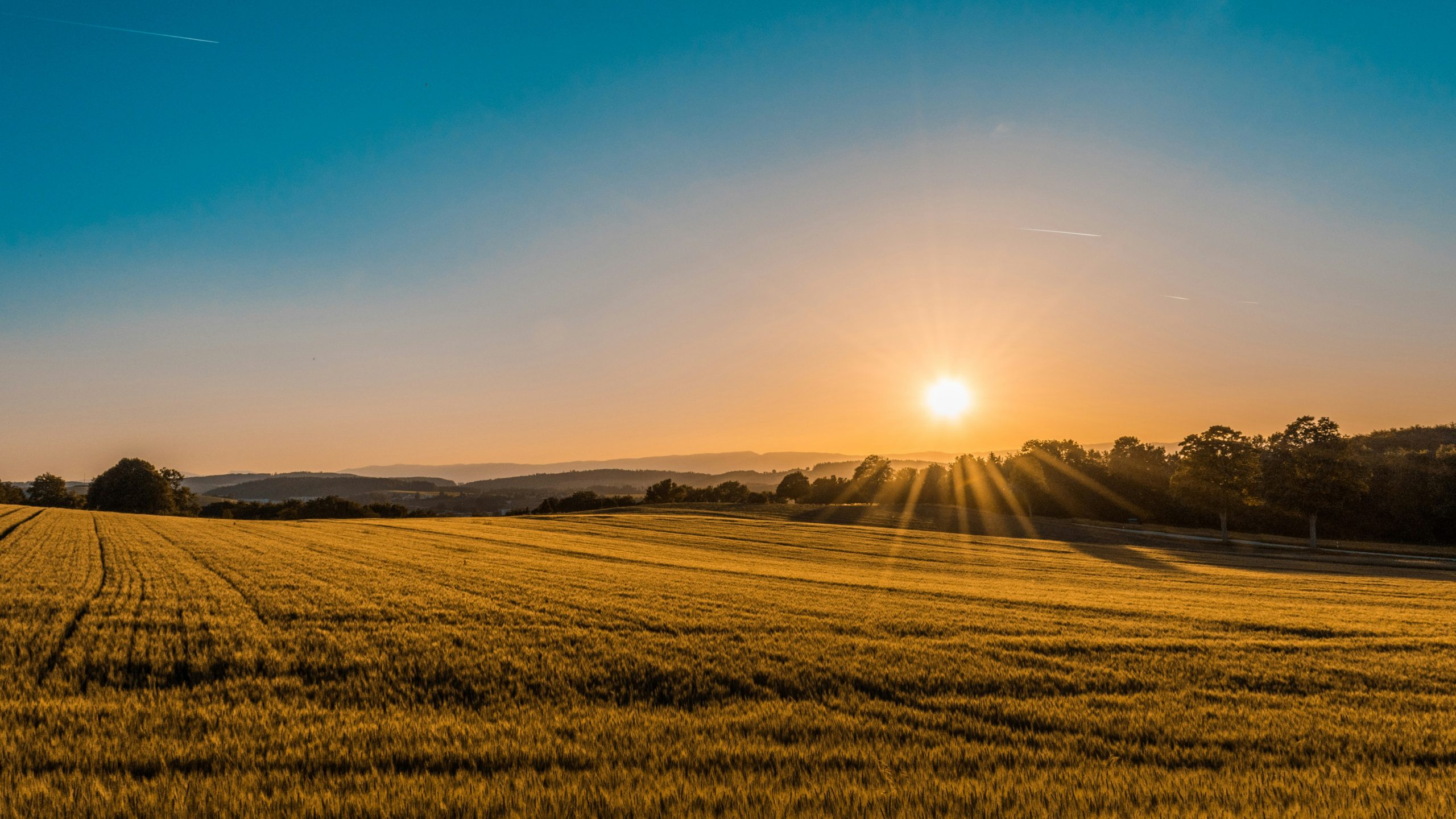 From Soil to System: The Great Farmland Transfer