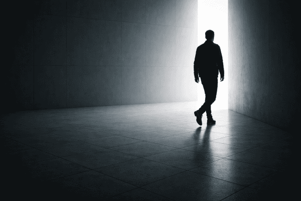 The Committee of One: The Internal Obstruction